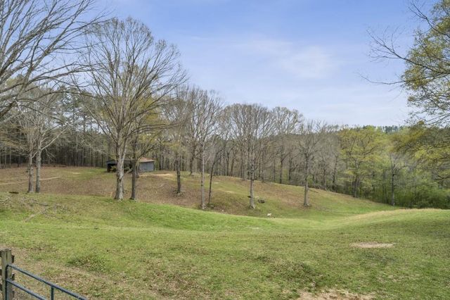 1137 Buchanan Highway, Dallas, GA 30157