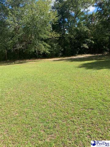 5264 Steen Drive, Florence, SC 29506