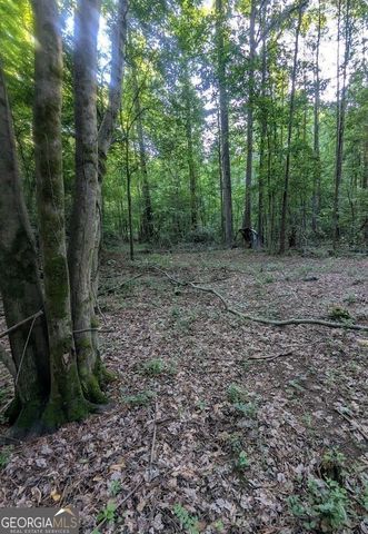 2773 River Road, Ellenwood, GA 30294