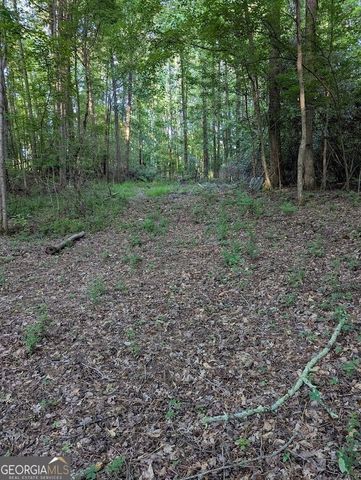 2773 River Road, Ellenwood, GA 30294