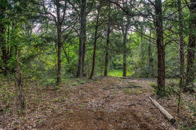 242 Cody LN, Bastrop, TX 78602