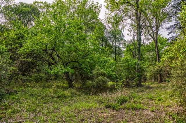 242 Cody LN, Bastrop, TX 78602