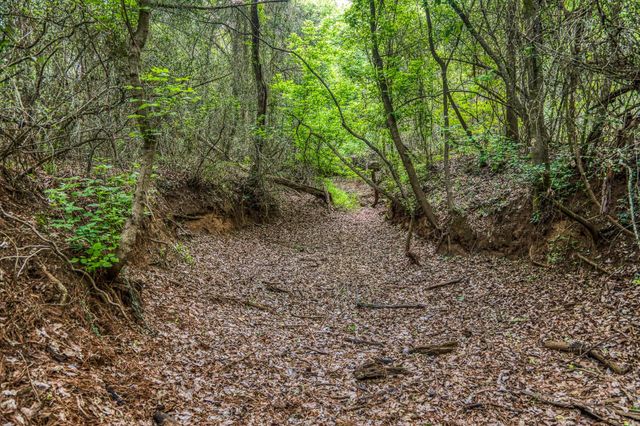 242 Cody LN, Bastrop, TX 78602