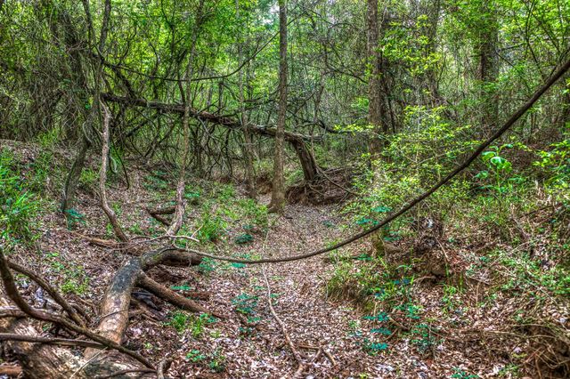 242 Cody LN, Bastrop, TX 78602