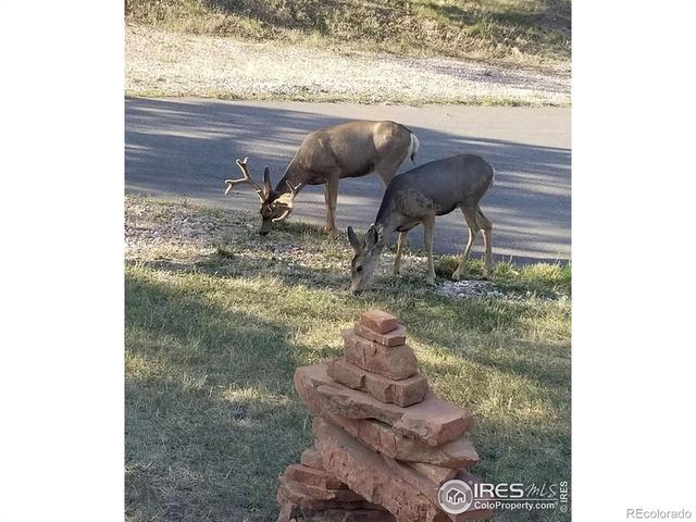 8701 Rock Hill Road, Loveland, CO 80537