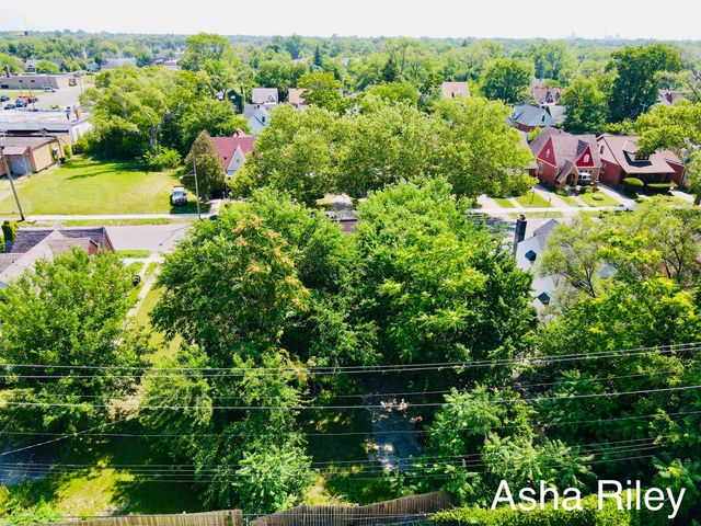 15099 Monte Vista Street, Detroit City, MI 48238