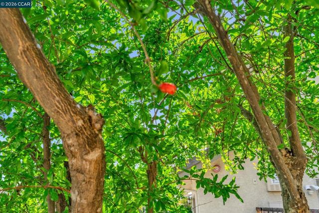 1174 Central Ave, Livermore, CA 94551