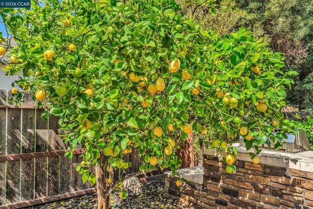 1174 Central Ave, Livermore, CA 94551