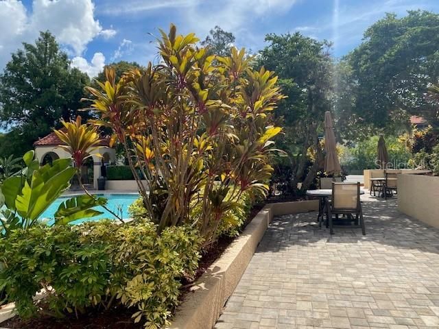 2400 FEATHER SOUND DRIVE 1431, Clearwater, FL 33762