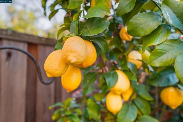 34 34 Elmwood Dr, San Ramon, CA 94583