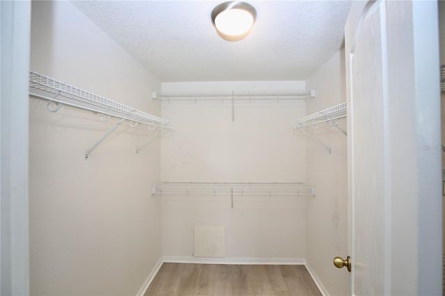 24421 BREEZY OAK COURT, Lutz, FL 33559