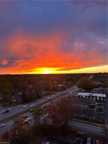 1101 Elm Street 1101, Greensboro, NC 27401