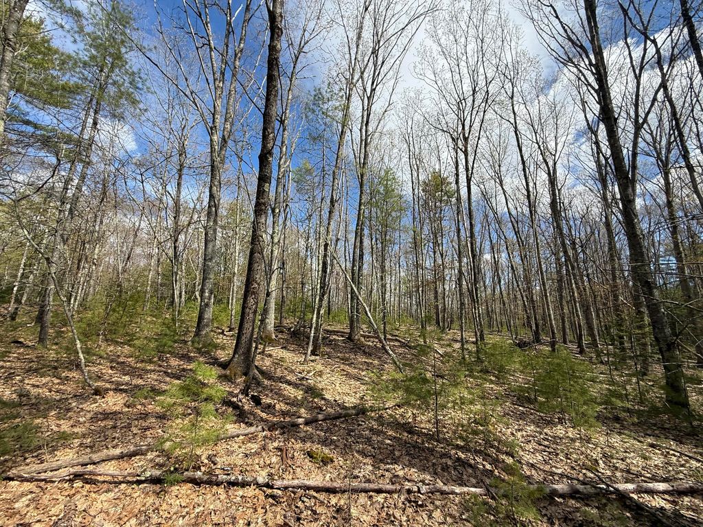 Lot # 8E01 Lord Road, Buxton, ME 04093 — photo 2