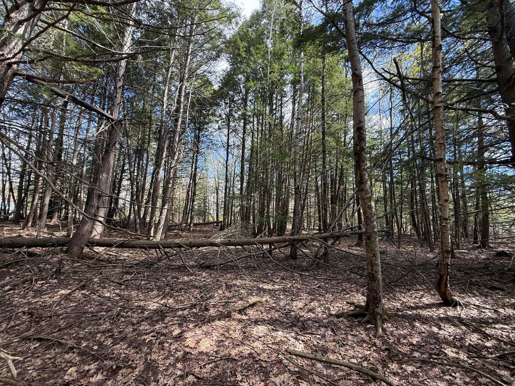 Lot # 8E01 Lord Road, Buxton, ME 04093 — photo 3