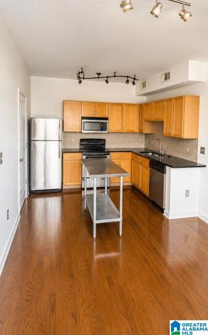 401 20th St S Apt 306, Birmingham, AL 35233