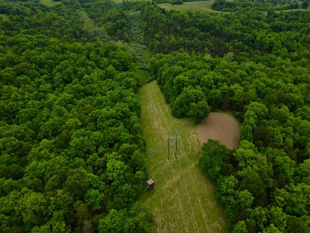 8275 Kentucky 10, Falmouth, KY 41040