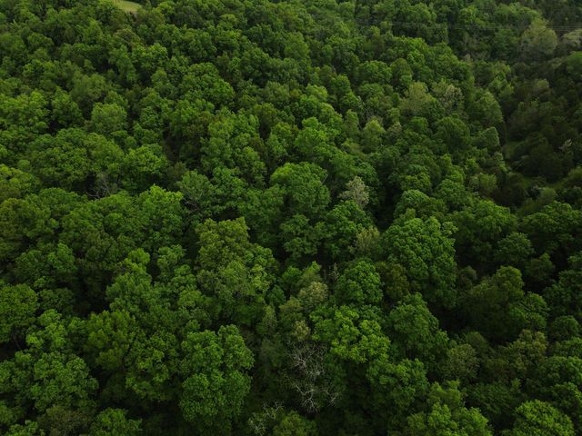 8275 Kentucky 10, Falmouth, KY 41040