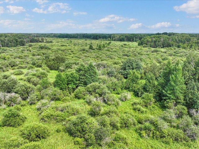 23919 610th Avenue, Oak Valley Twp, MN 56453