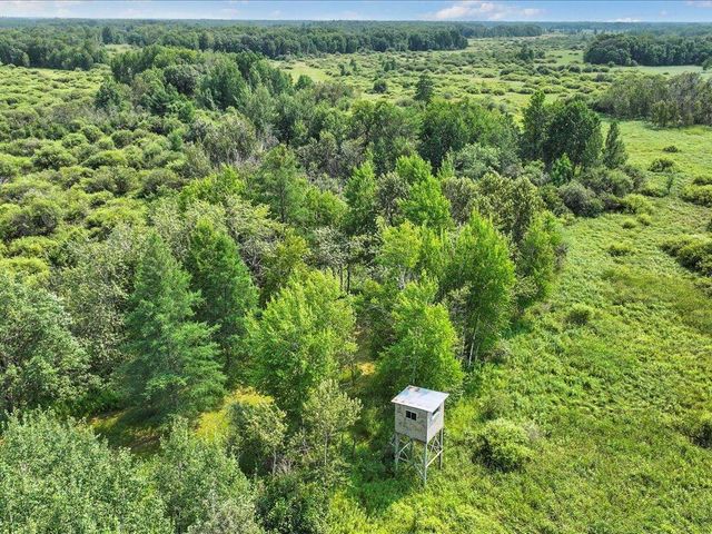 23919 610th Avenue, Oak Valley Twp, MN 56453