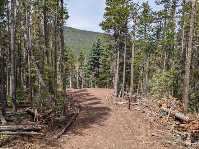 3331 Purnell Ln, Fort Garland, CO 81133