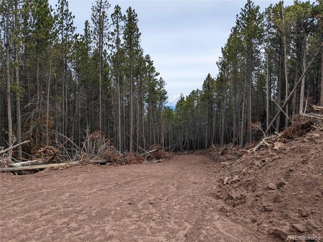 3331 Purnell Ln, Fort Garland, CO 81133