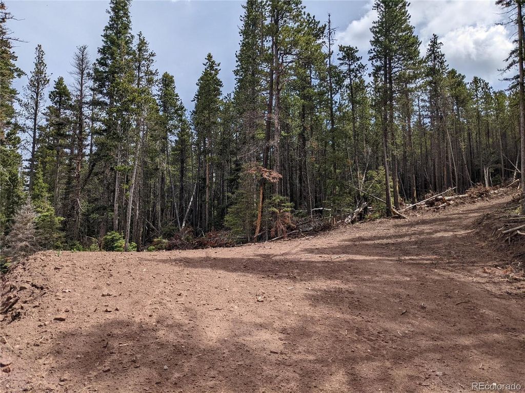 3331 Purnell Ln, Fort Garland, CO 81133