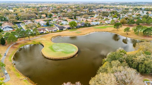 12910 LEADWOOD DRIVE, Riverview, FL 33579