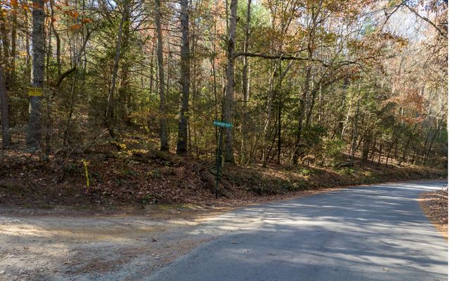 2 TR Old Anderson Creek, Ellijay, GA 30536