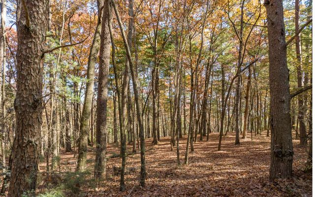 2 TR Old Anderson Creek, Ellijay, GA 30536