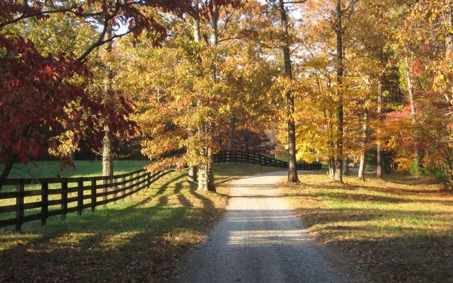 2 TR Old Anderson Creek, Ellijay, GA 30536