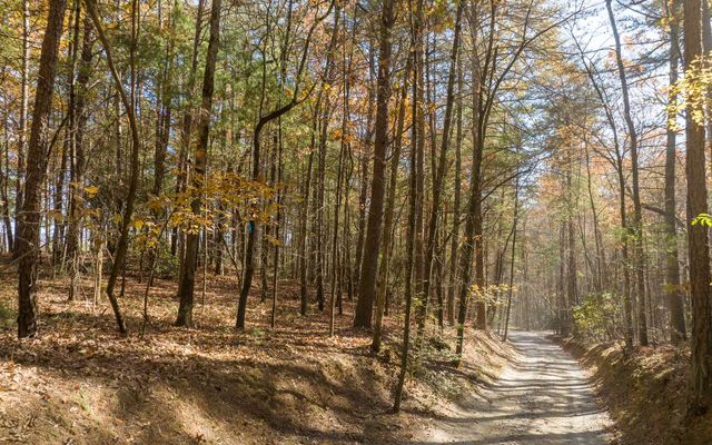 2 TR Old Anderson Creek, Ellijay, GA 30536