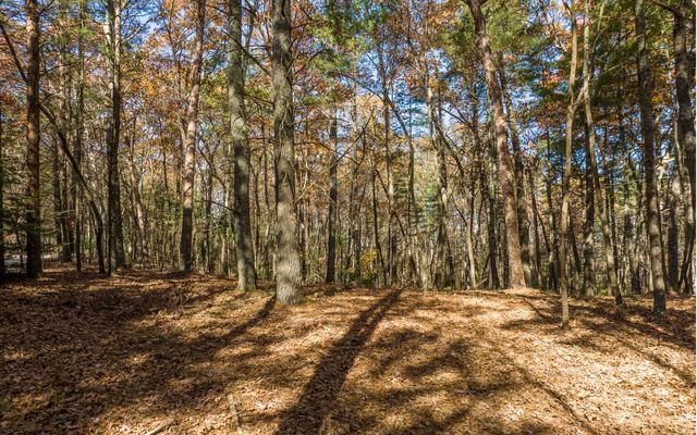 2 TR Old Anderson Creek, Ellijay, GA 30536