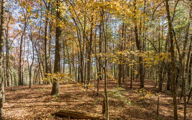 2 TR Old Anderson Creek, Ellijay, GA 30536