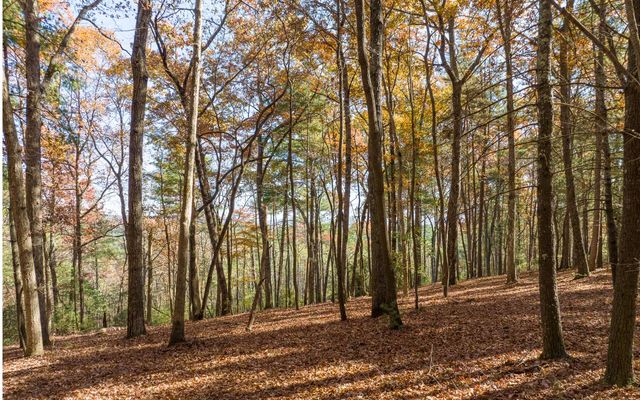 2 TR Old Anderson Creek, Ellijay, GA 30536