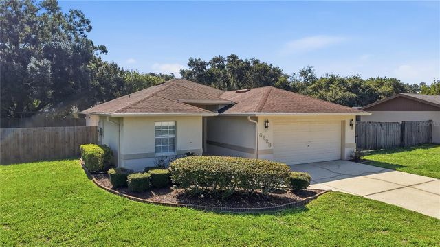 3828 HOLLOW OAK PLACE, Land O Lakes, FL 34639