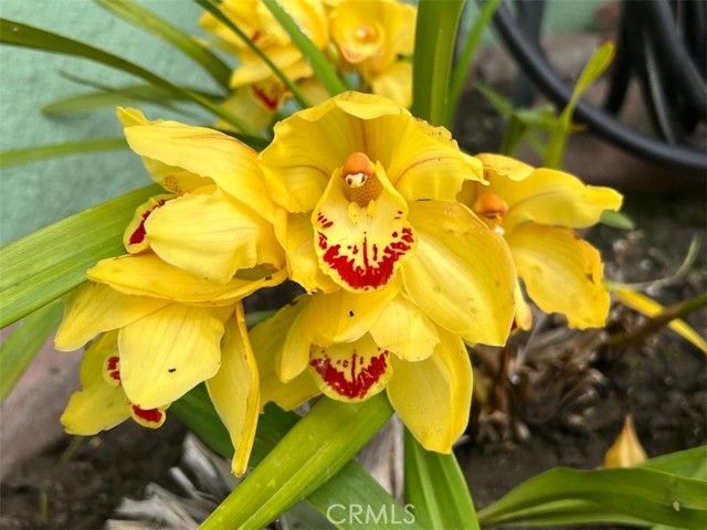 8320 Orange Avenue, Pico Rivera, CA 90660