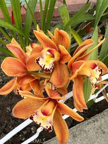 8320 Orange Avenue, Pico Rivera, CA 90660