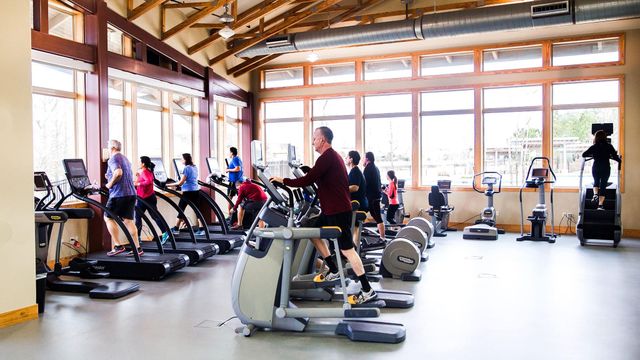 5603 Logan Ridge Lane, Fulshear, TX 77441