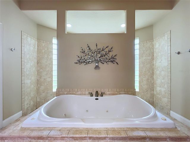 806 JOHNS POINT DRIVE, Winter Garden, FL 34787