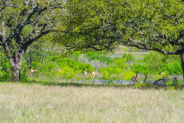 0 Paleface Ranch RD S, Spicewood, TX 78669