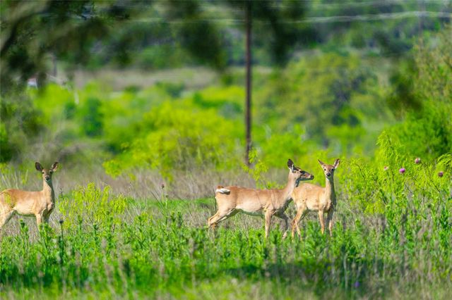 0 Paleface Ranch RD S, Spicewood, TX 78669