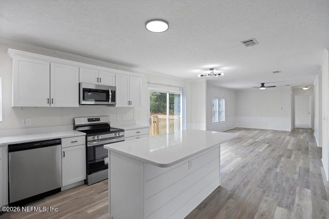 13 TULIP Court, Middleburg, FL 32068