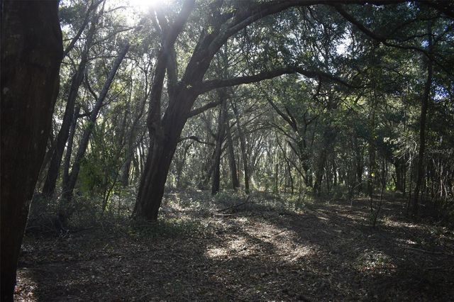 13800 COUNTY ROAD 450, Umatilla, FL 32784