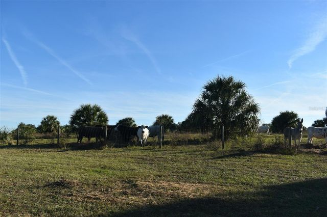 13800 COUNTY ROAD 450, Umatilla, FL 32784