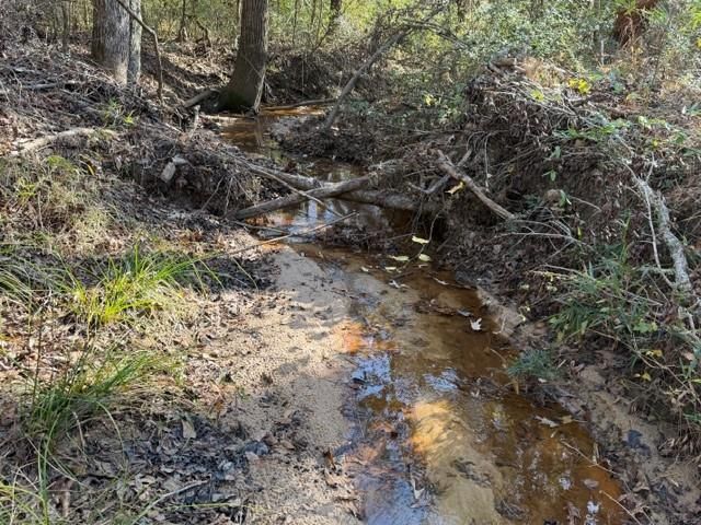 19 ac Pr 1429, Centerville, TX 75833