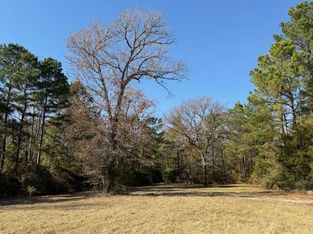 19 ac Pr 1429, Centerville, TX 75833
