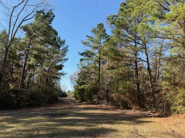 19 ac Pr 1429, Centerville, TX 75833