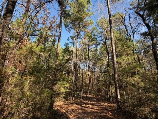 19 ac Pr 1429, Centerville, TX 75833