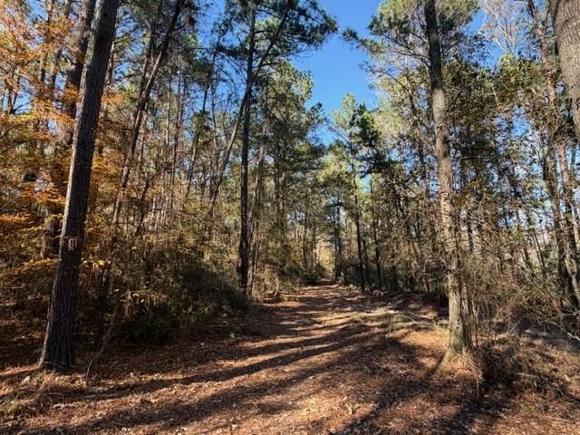 19 ac Pr 1429, Centerville, TX 75833