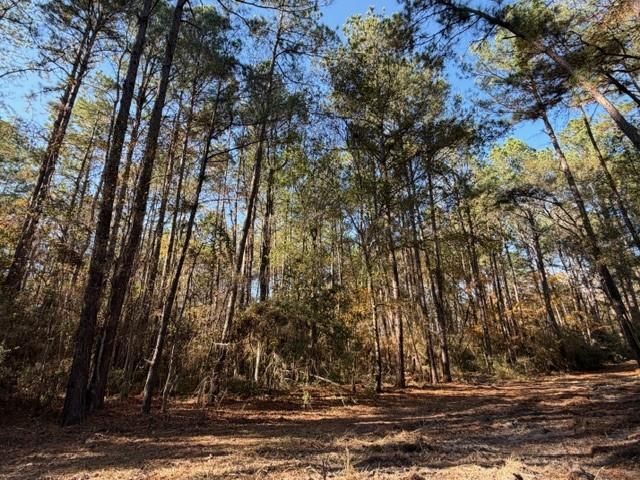 19 ac Pr 1429, Centerville, TX 75833